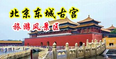 狂插肉逼视频中国北京-东城古宫旅游风景区
